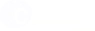 connectome-white